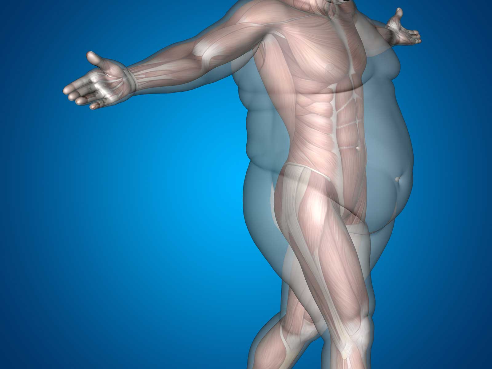 Fat Human Body 72